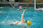 WWPolo vs CC  Wheaton College Women’s Water Polo compete in their sports inaugural match vs Connecticut College. - Photo By: KEITH NORDSTROM : Wheaton, water polo, inaugural